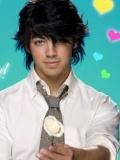 Pictures - lav - Joe