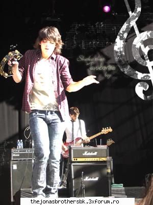 Pictures - lav - Joe